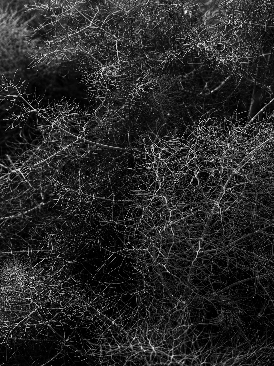 Neural Network Integration Suite